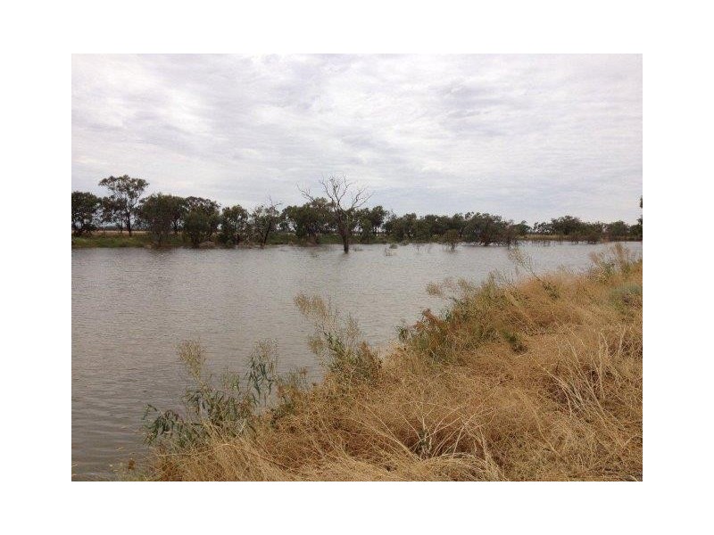 . “Brotherony” and “Everton”, Condobolin NSW 2877