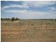 . “Brotherony” and “Everton”, Condobolin NSW 2877