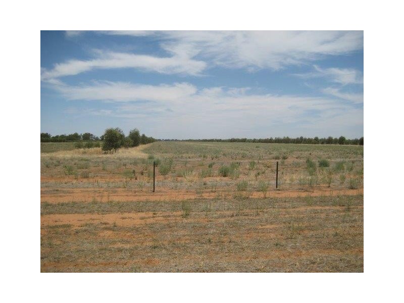 . “Brotherony” and “Everton”, Condobolin NSW 2877