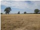 . “Brotherony” and “Everton”, Condobolin NSW 2877
