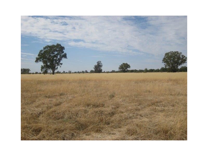 . “Brotherony” and “Everton”, Condobolin NSW 2877