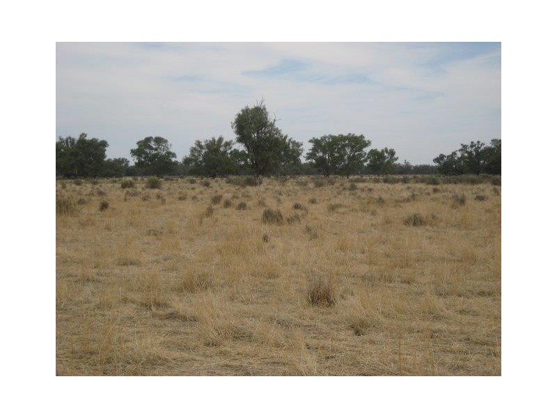 . “Brotherony” and “Everton”, Condobolin NSW 2877