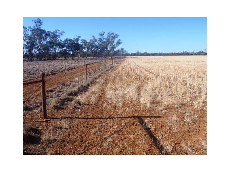 . “Yarradah”, Hillston NSW 2675