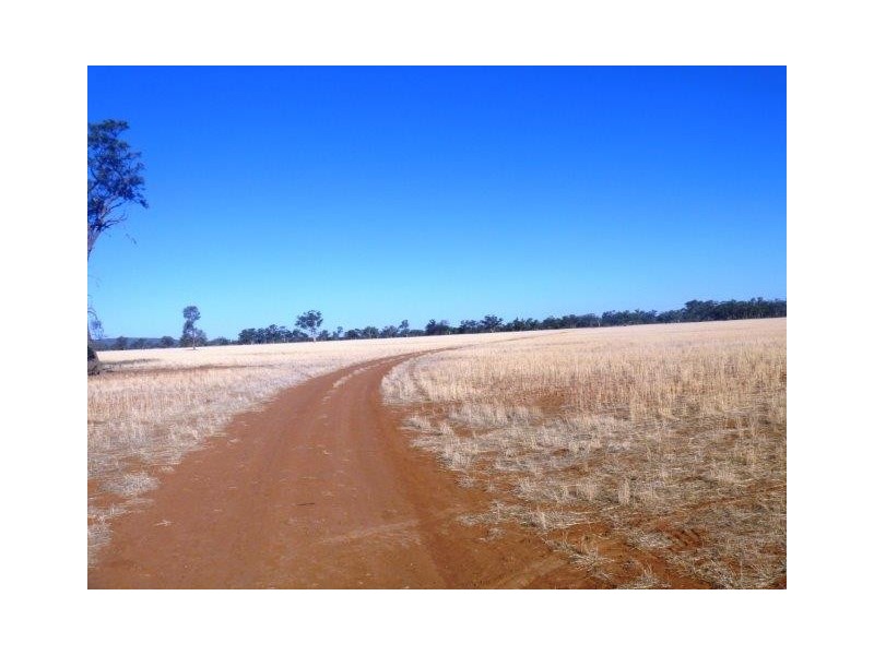 . “Yarradah”, Hillston NSW 2675