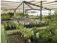 638 Mackay Avenue, Griffith NSW 2680