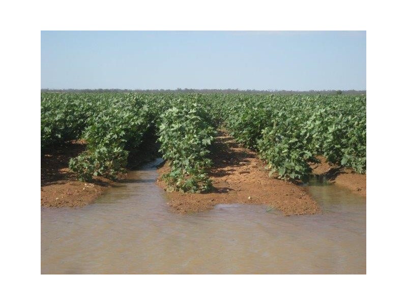 . “Quindalup”, Carrathool NSW 2711