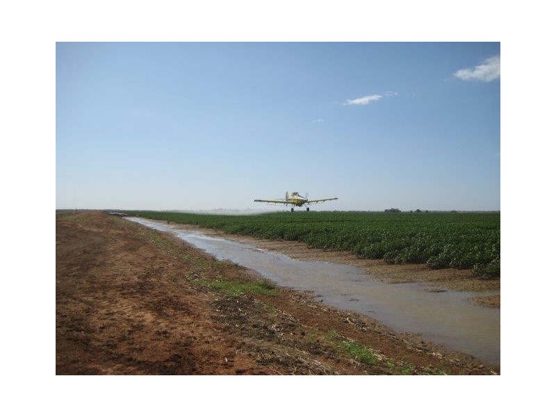 . “Quindalup”, Carrathool NSW 2711