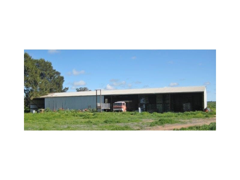 . “Quindalup”, Carrathool NSW 2711