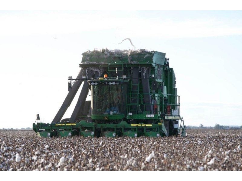 . “Quindalup”, Carrathool NSW 2711