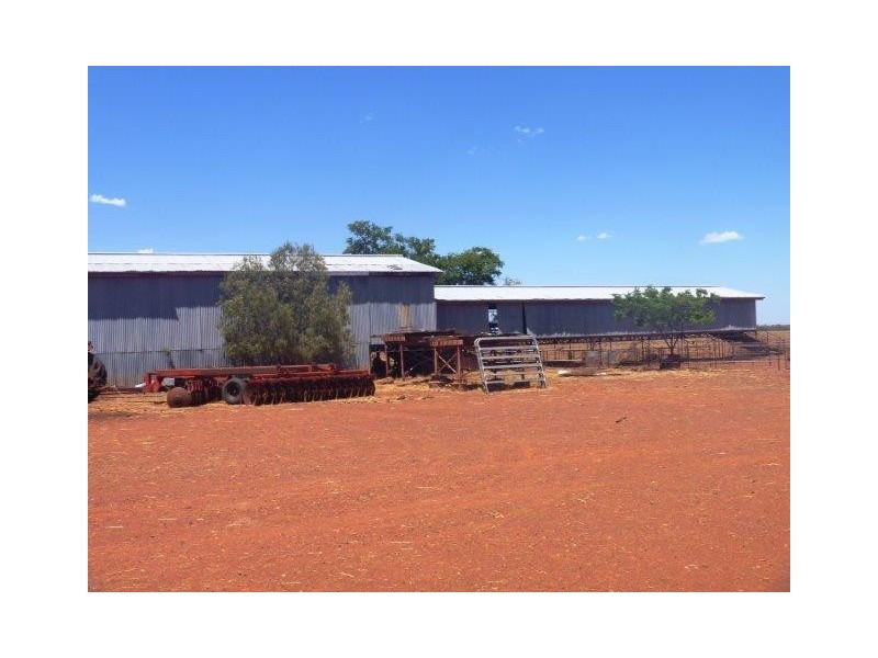 . “Taringo Downs”, Cobar NSW 2835