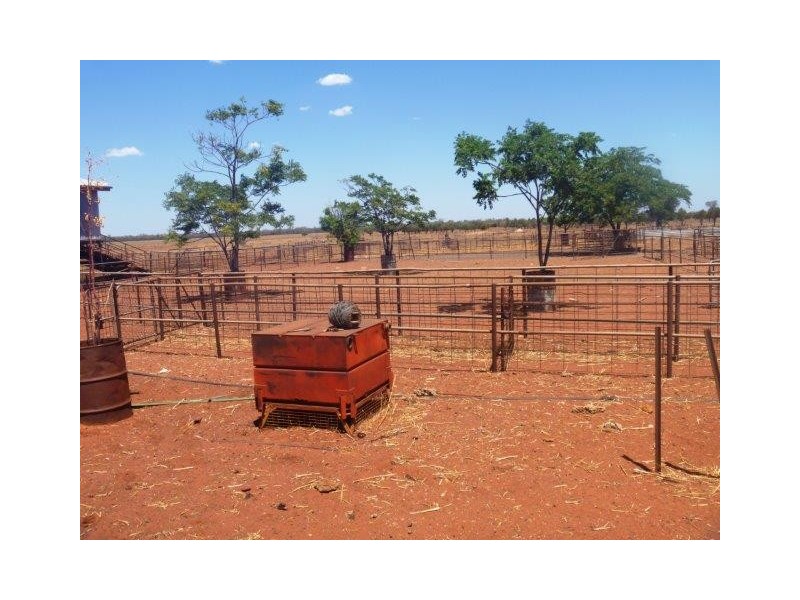 . “Taringo Downs”, Cobar NSW 2835