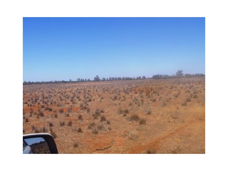 . “Taringo Downs”, Cobar NSW 2835