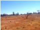 . “Taringo Downs”, Cobar NSW 2835