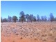 . “Taringo Downs”, Cobar NSW 2835