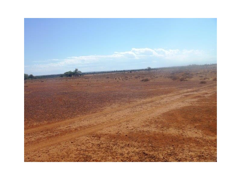 . “Taringo Downs”, Cobar NSW 2835