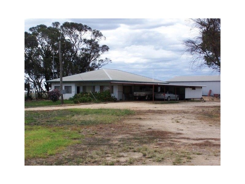 . Farm 61, Coleambally NSW 2707