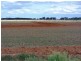 . Farm 61, Coleambally NSW 2707
