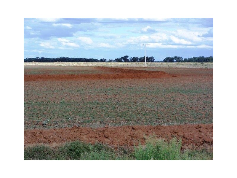. Farm 61, Coleambally NSW 2707