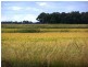 . Farm 61, Coleambally NSW 2707