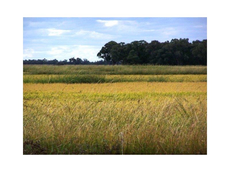 . Farm 61, Coleambally NSW 2707