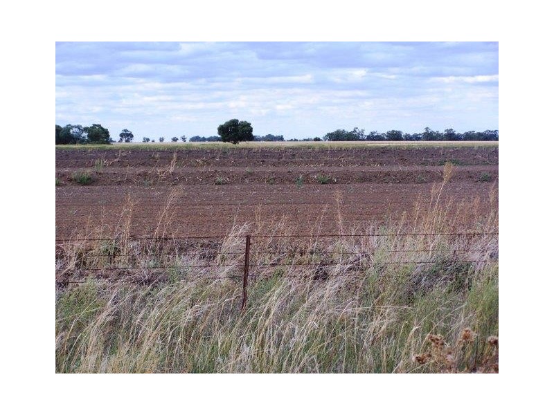 . Farm 61, Coleambally NSW 2707