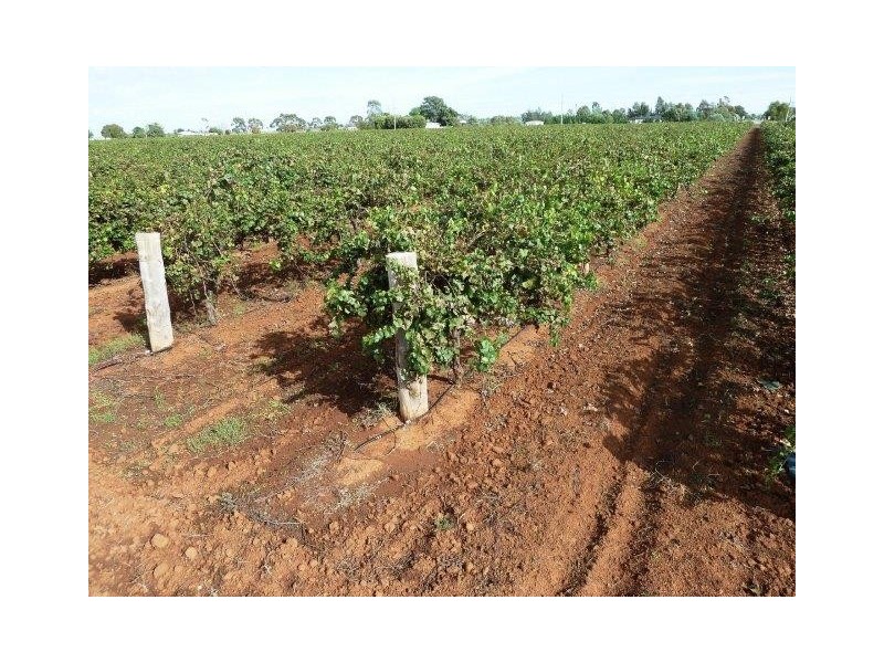 Farm 797 Cremasco Road, Yenda NSW 2681