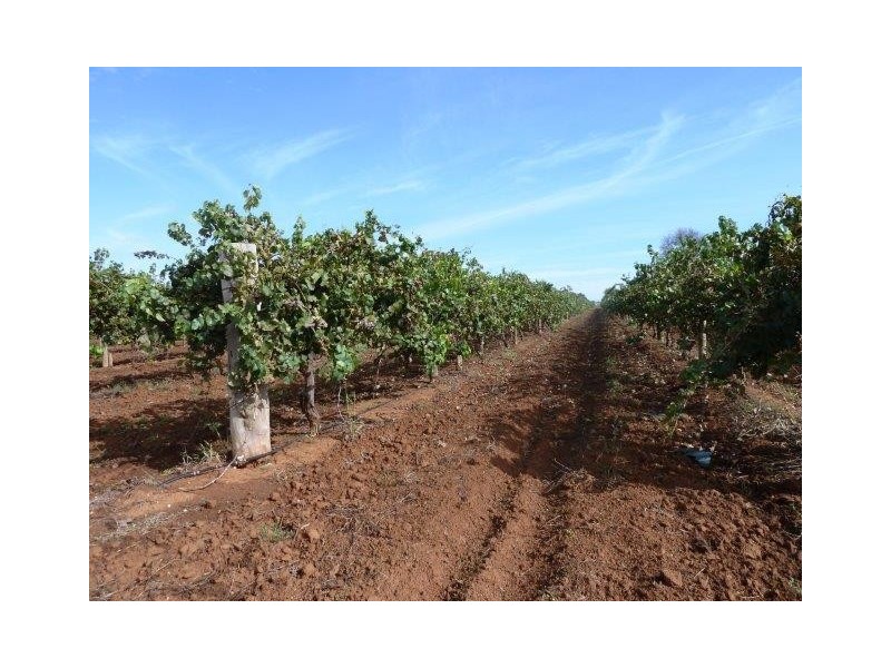 Farm 797 Cremasco Road, Yenda NSW 2681