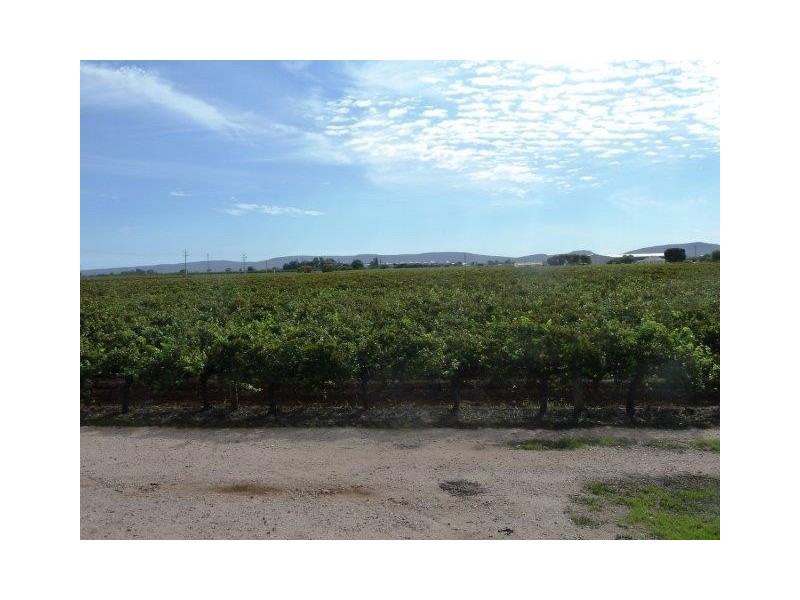 Farm 797 Cremasco Road, Yenda NSW 2681