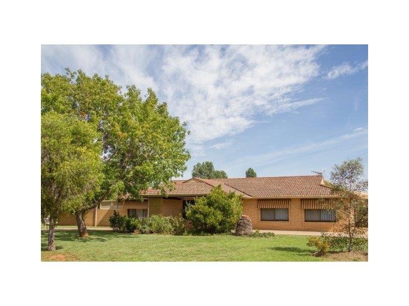 40 Burley Street, Griffith NSW 2680