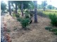 . Kidman Way, Goolgowi NSW 2652