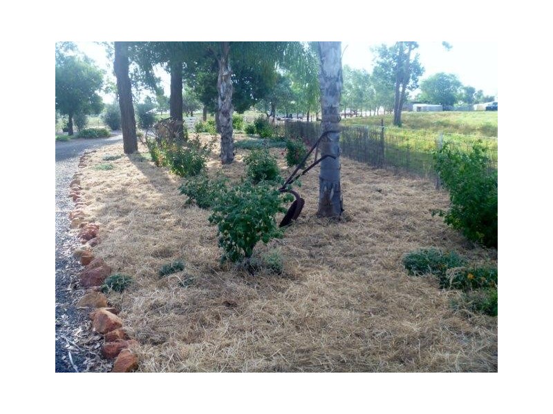 . Kidman Way, Goolgowi NSW 2652