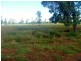 . Kidman Way, Goolgowi NSW 2652