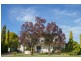 1 Burley Street, Griffith NSW 2680