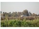 25 Burley Street, Griffith NSW 2680