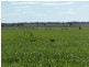 . “CHELSEA”, Morundah NSW 2700