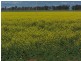 . “CHELSEA”, Morundah NSW 2700