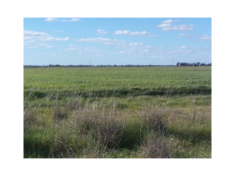 . “CHELSEA”, Morundah NSW 2700