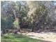 . “CHELSEA”, Morundah NSW 2700
