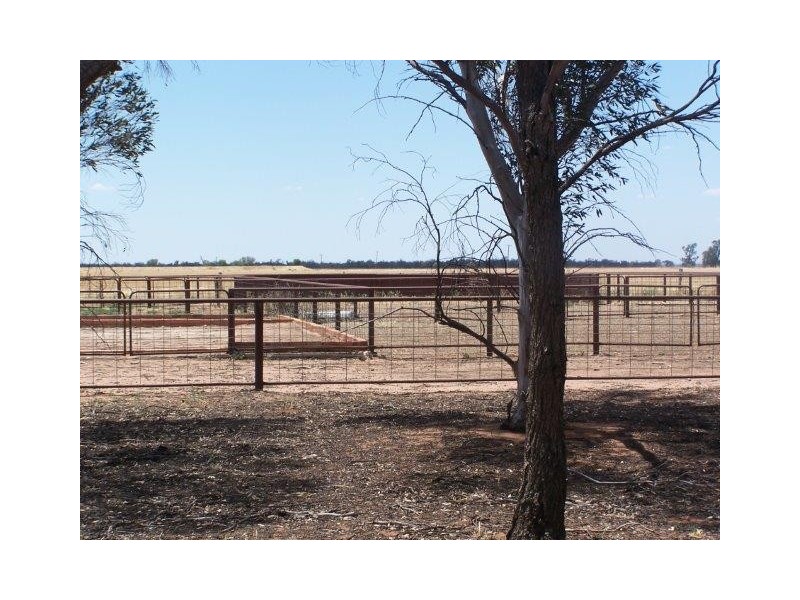 . “KAMELDA”, Coleambally NSW 2707