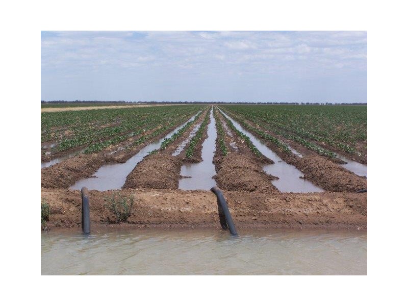 . “KAMELDA”, Coleambally NSW 2707