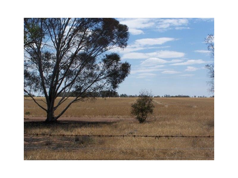 . “KAMELDA”, Coleambally NSW 2707