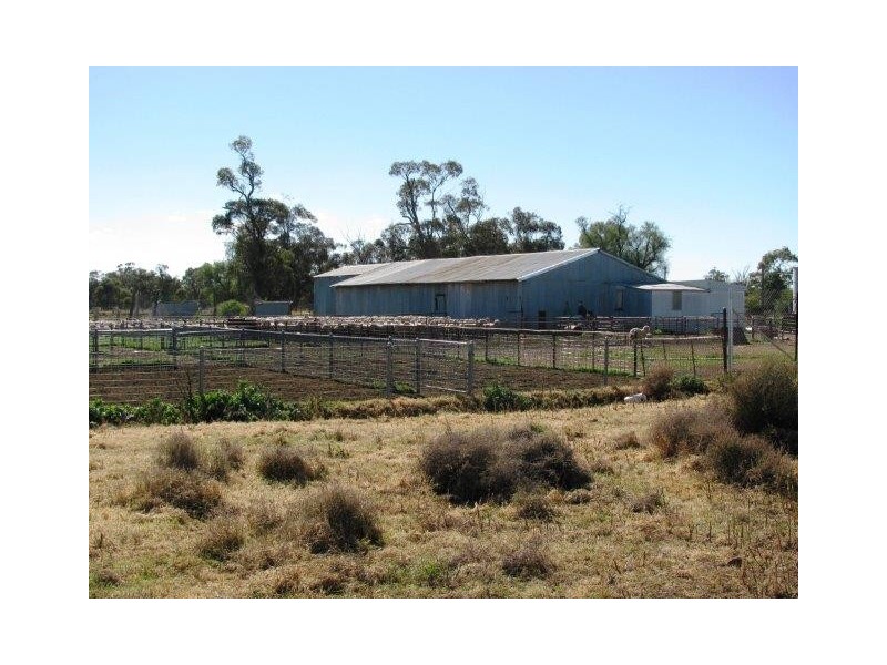 Farm 2343, Yenda NSW 2681