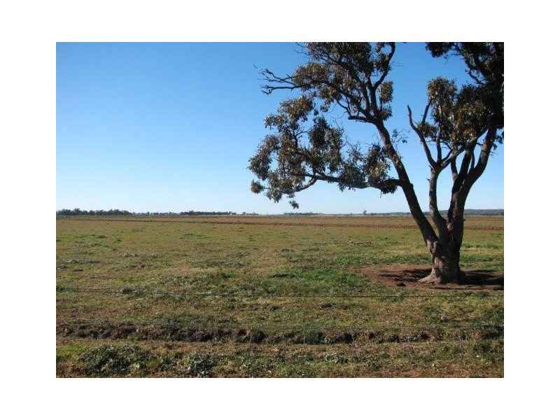 Farm 2343, Yenda NSW 2681