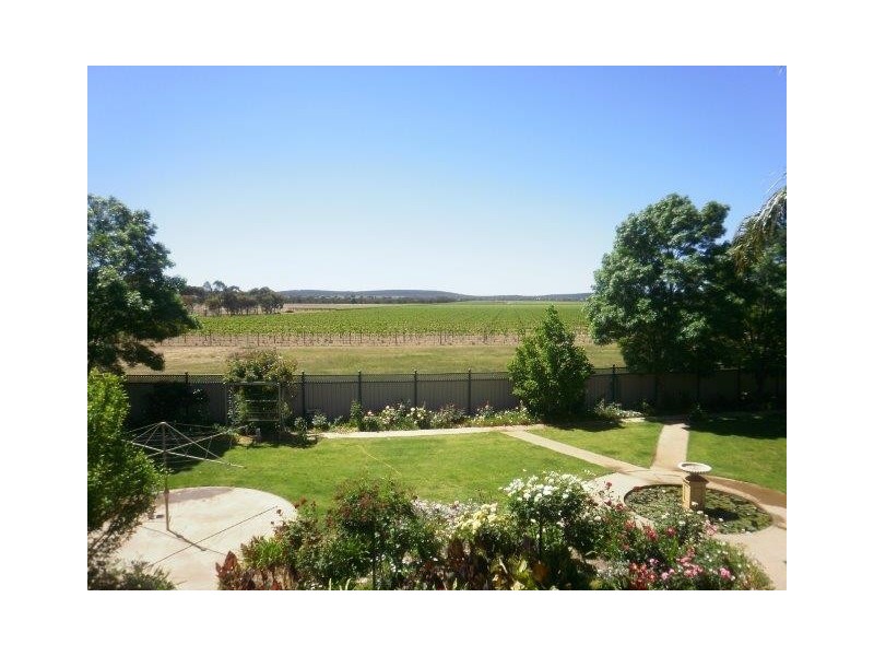 577A New Farms Road, Nericon NSW 2680