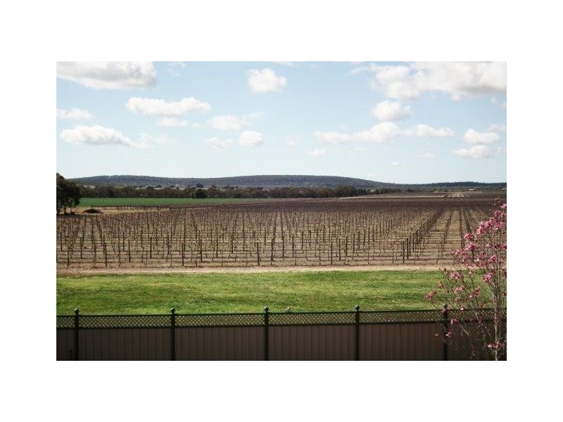 577A New Farms Road, Nericon NSW 2680