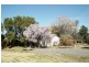 577A New Farms Road, Nericon NSW 2680