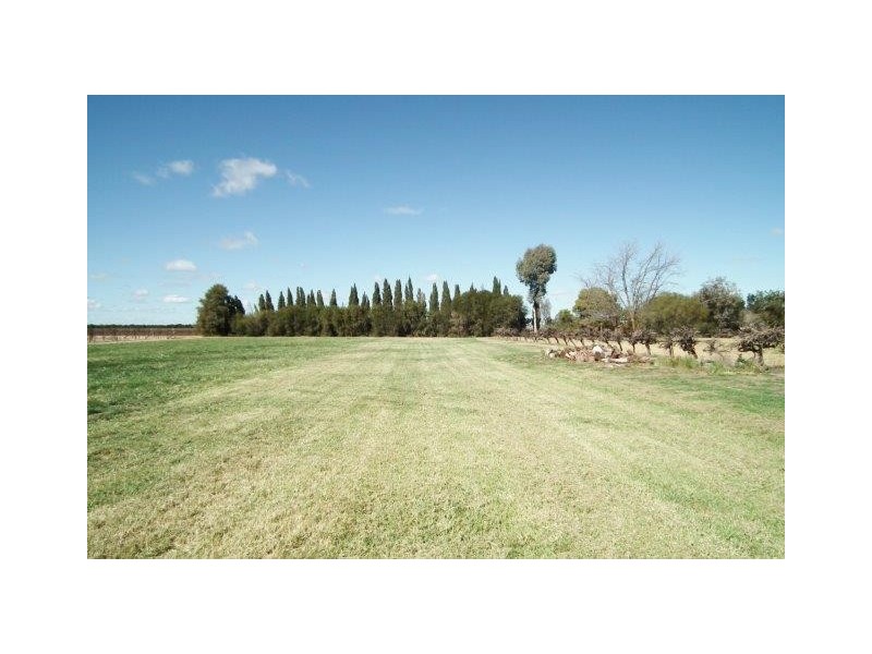 577A New Farms Road, Nericon NSW 2680