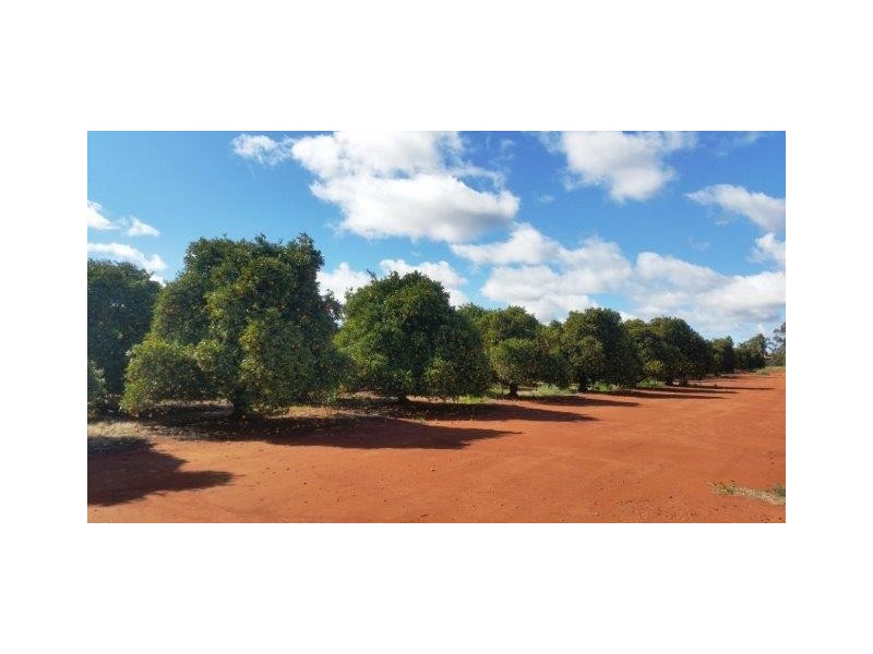 Farm 1751A Slopes Road, Tharbogang NSW 2680