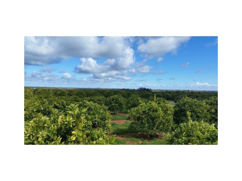 Farm 1751A Slopes Road, Tharbogang NSW 2680