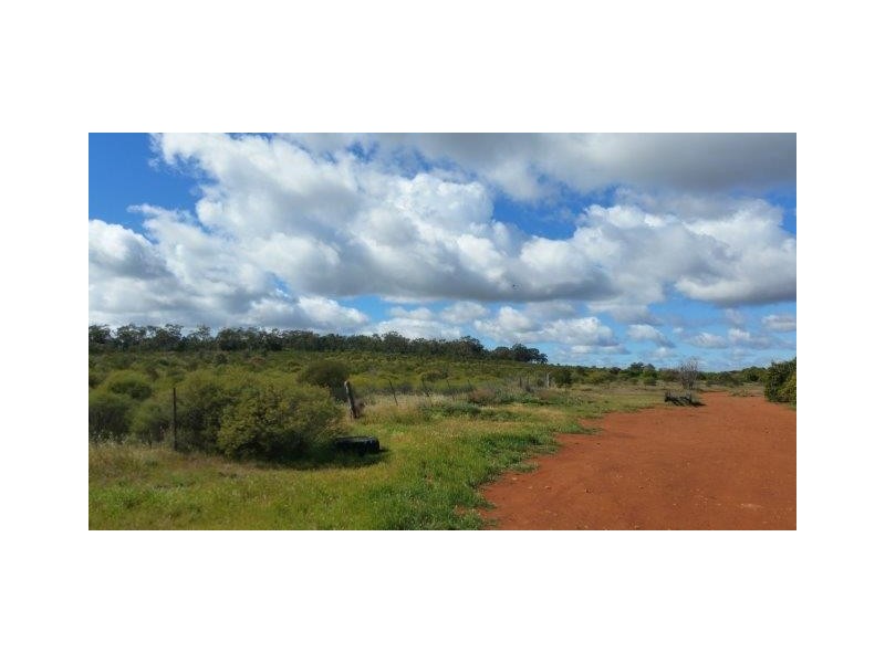 Farm 1751A Slopes Road, Tharbogang NSW 2680